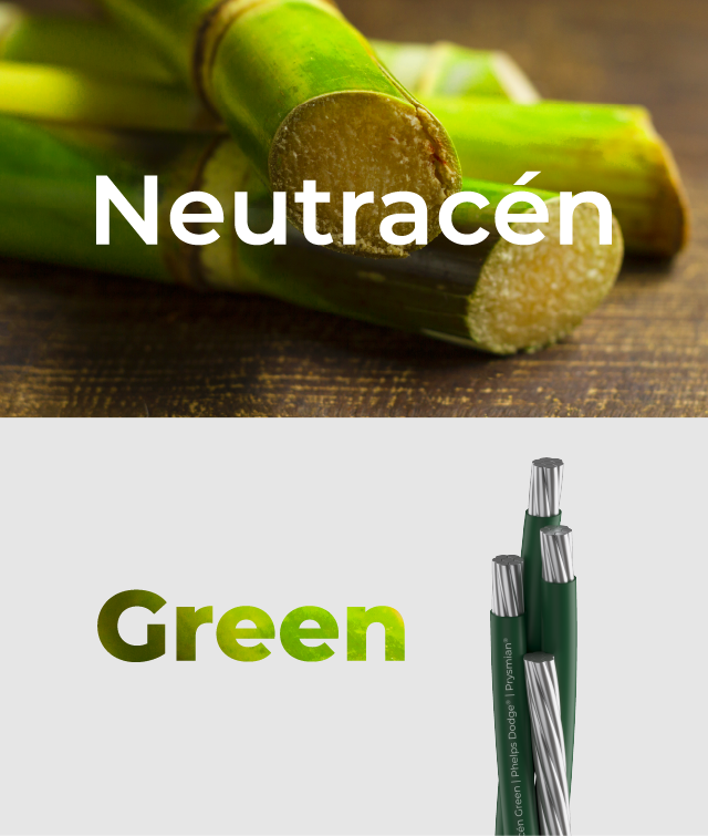 banner-ng-mobile